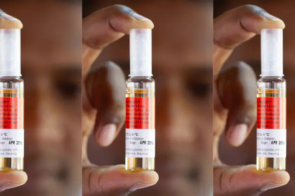 Snake antivenom mired by shortages and side-effects – could a new treatment boost our options?