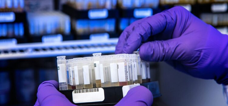 World’s largest research funder lifts ban on South Africa
