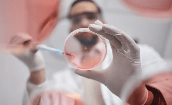 In The Spotlight | What are broadly neutralising antibodies and what do they mean for the fight against HIV?